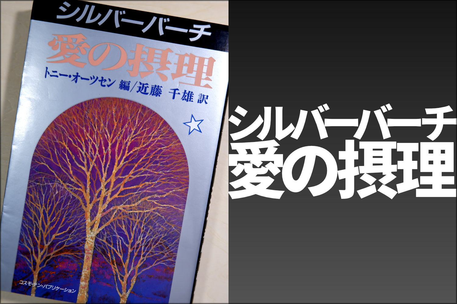 WordPress霊関連書籍ヘッダーシルバーバーチ愛の摂理