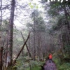 Thumbnail of new posts 080