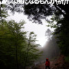 Thumbnail of new posts 026