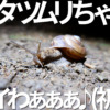 Thumbnail of new posts 059