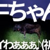 Thumbnail of new posts 115