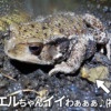 Thumbnail of new posts 014