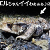 Thumbnail of new posts 118