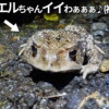 Thumbnail of new posts 161