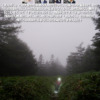 Thumbnail of new posts 073