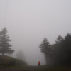 Thumbnail of new posts 146