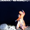Thumbnail of new posts 142