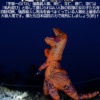 Thumbnail of new posts 059