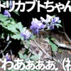 Thumbnail of new posts 059