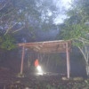 Thumbnail of new posts 151